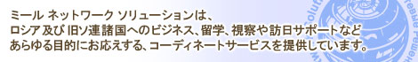 �~�[���l�b�g���[�N�\�����[�V����