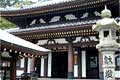 hasedera